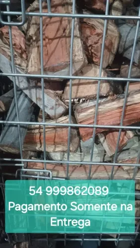 Lenha de eucalipto seca para fogão e lareira