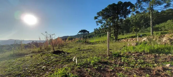 Área de terra bairro Linha Brasil Fundos, Nova Petrópolis.RS Ref.:160