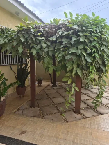 Pérgola com pilares de madeira e trepadeira 1,44 m x 2,6 m