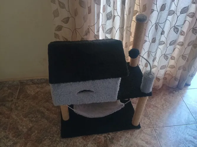 Casinha de Gato