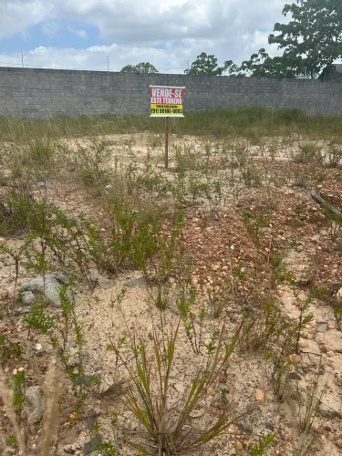 Terreno no Bougainville