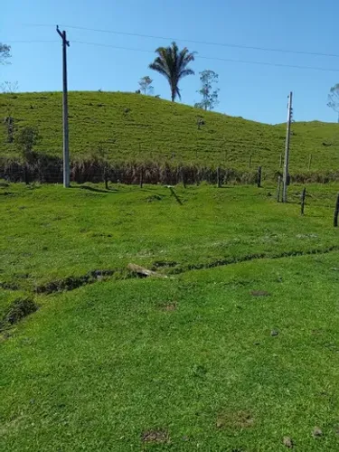 Vendo Fazenda 55 mil o alqueiro
