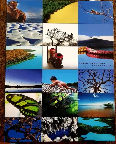 Livro Brasil Arte Vida - Livro de Fotos