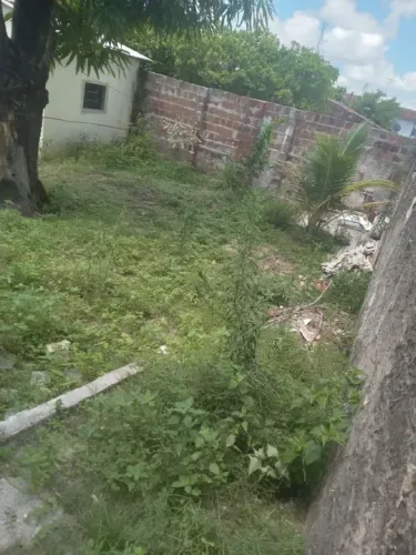 Limpeza Na Roçadeira 