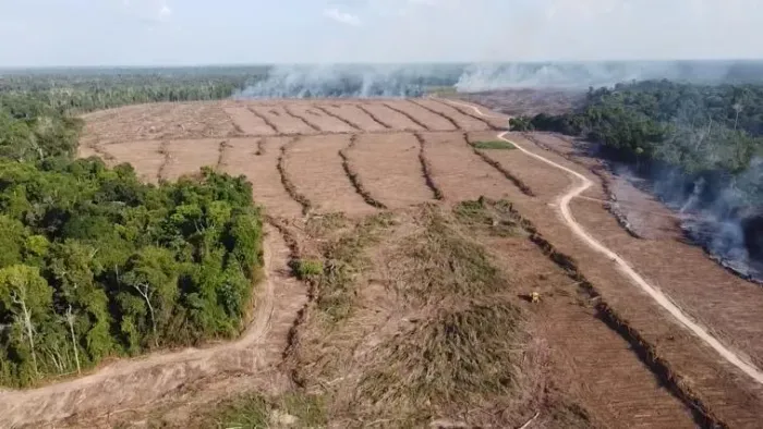 VENDO FAZENDA EM TAILANDIA