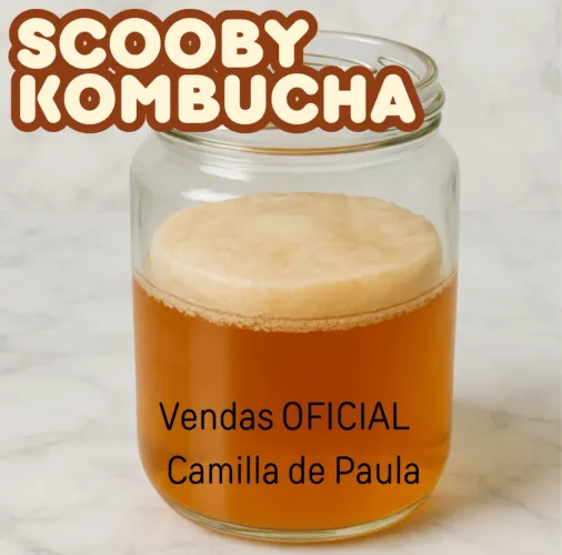 Kombucha - Scoby