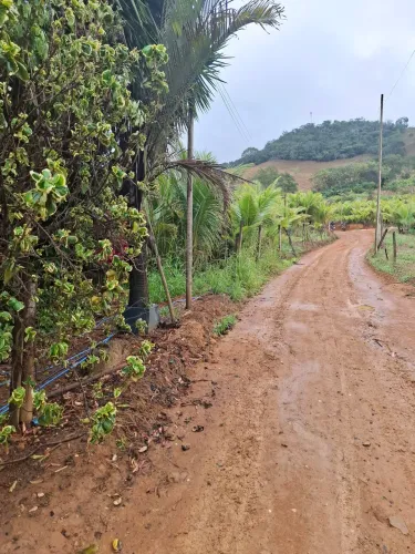 Terreno. A venda. Sítio laranjal 