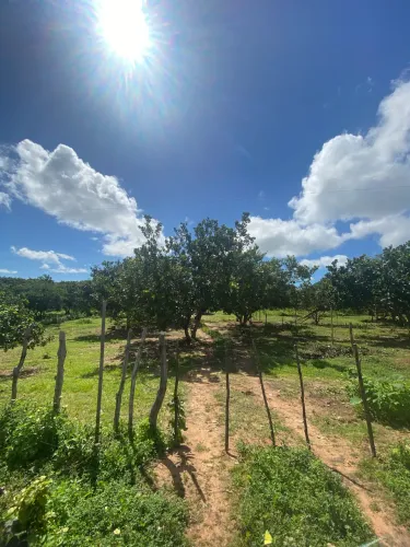 Vende-se Terreno com casa próximo a Timon