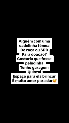 Cadelinha fêmea