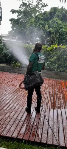 NovaVerde dedetizadora