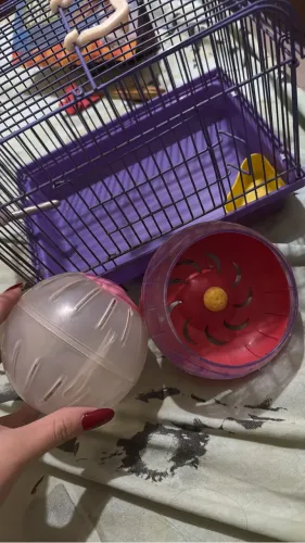 Gaiola de Hamster