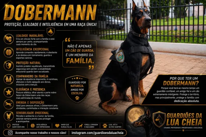 Doberman Canil CBKC