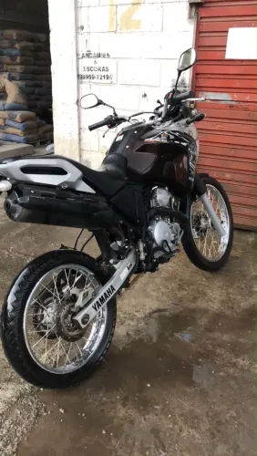 Yamaha XTZ 250 Tenere/tenere Blueflex 2019