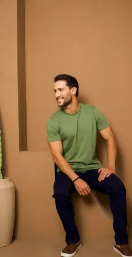 Camisas básicas 100% algodão prêmio