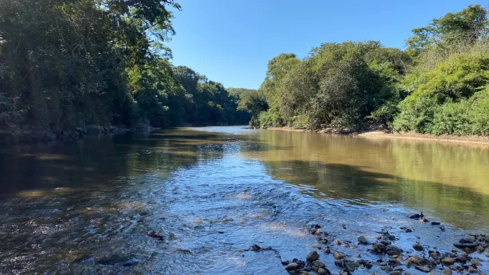 Chácara de 20mil mt em Goiás velho com rio vermelho no fundo!