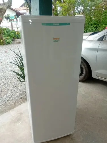 Freezer vertical