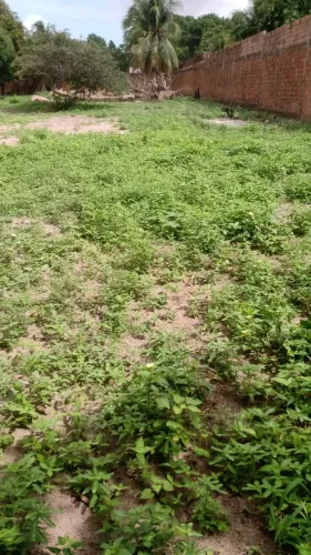 terreno 1.207,34  Apaco São Luis Maranhão