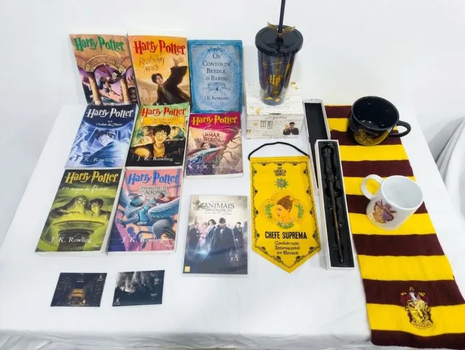 Kit Harry Potter completo: Livros, edredom, almofadas, caneca e colecionáveis.