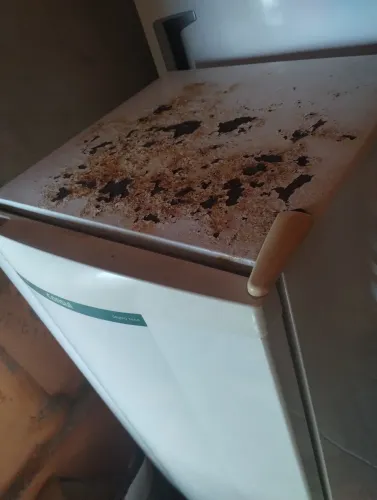 Geladeira para retirada de peças 