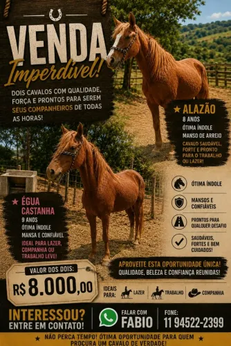 CAVALOS NO PRECINHO