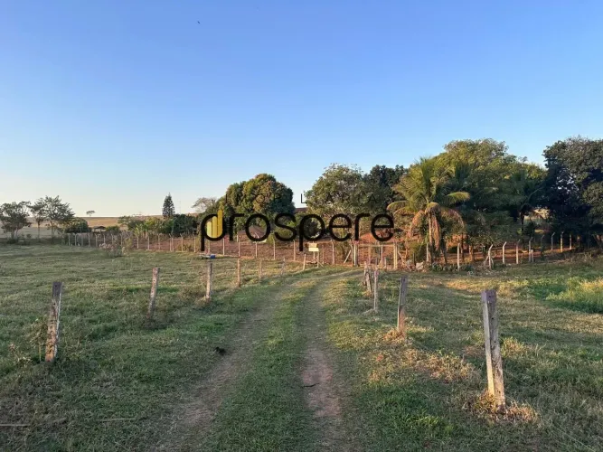 Sítio para Venda em Taciba, Rural, 2 dormitórios, 1 banheiro, 1 vaga