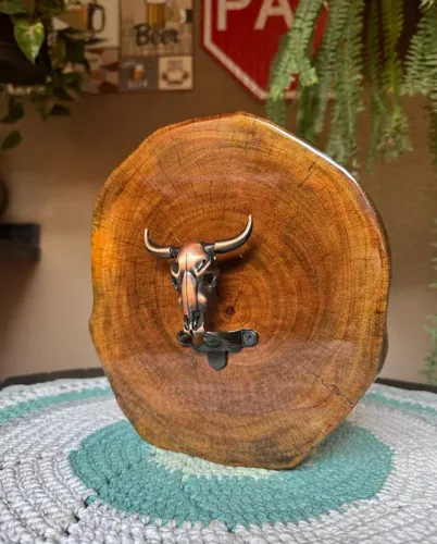 Bolacha de madeira na resina