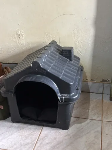 Casinha de cachorro 