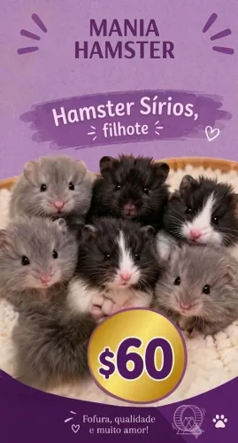 Hamster Sírios 