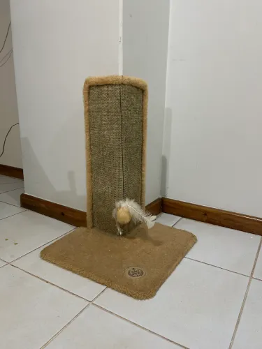Arranhador de gatos de canto