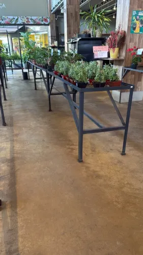 Expositor para plantas e produtos - 200x60x80