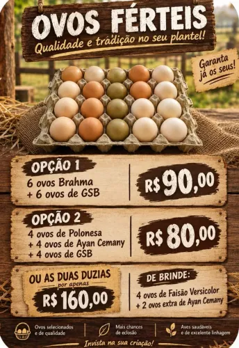Ovos férteis