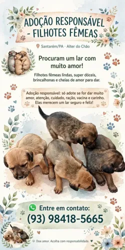 Adoção responsável