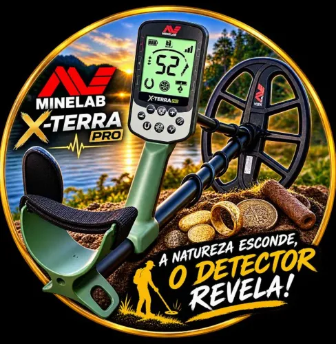 Detectorista profissional