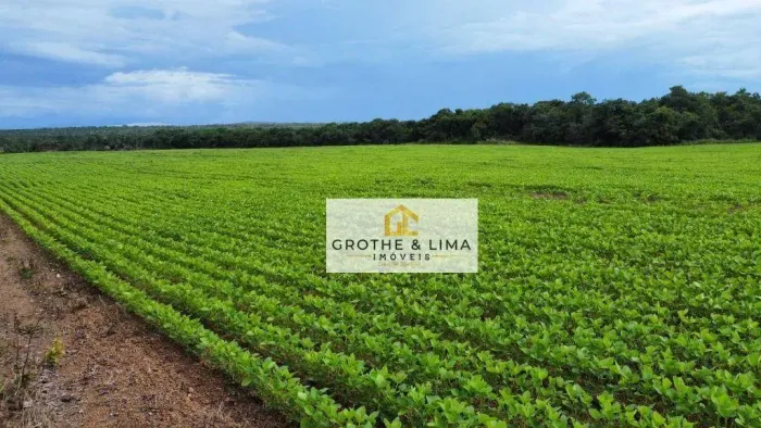 Fazenda à venda, 700 hectares por R$ 24.000.000 - Gurupi/TO