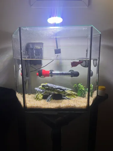Aquário 12 L completo