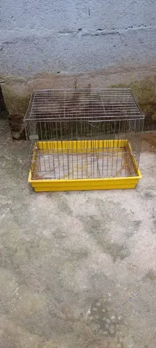 Gaiola