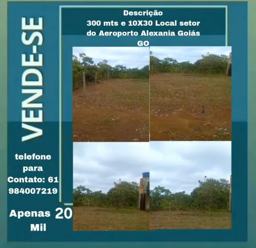 Lote Alexania GO