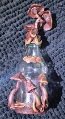 Garrafa de Contagiada de Cogumelos Artesanal 