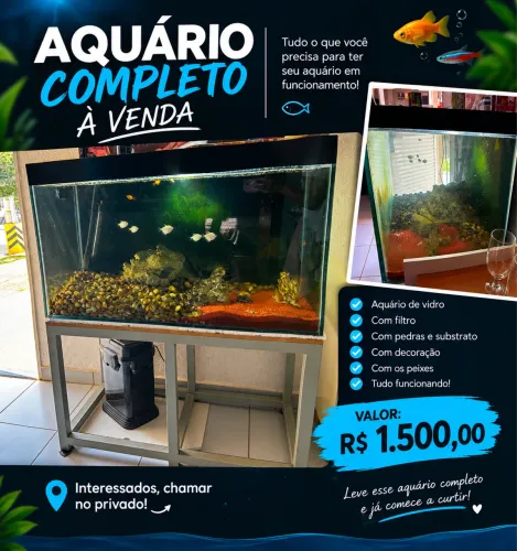 Venda Aquário novo