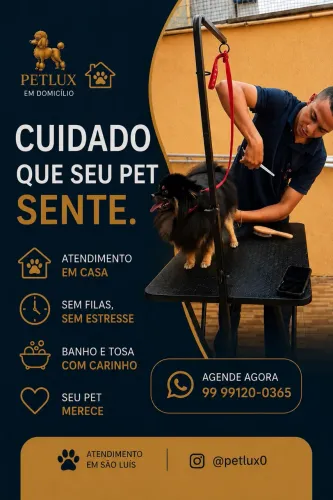 Banho e tosa em domicílio 