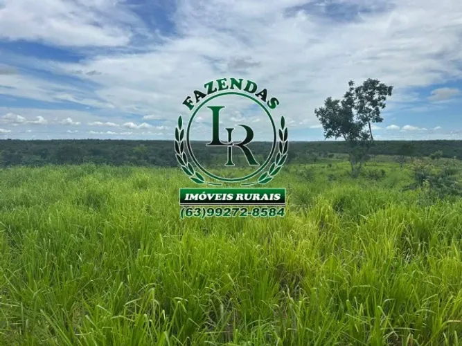 Fazenda 55 Alqueires Dupla Aptidão Próximo a Palmas