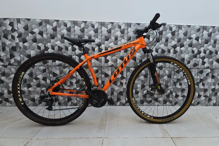 Bicicleta Lotus aro 29