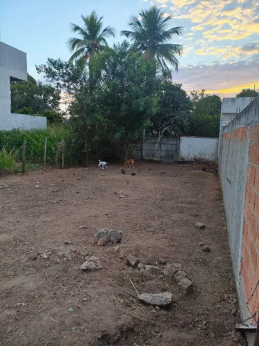 EXCELENTE TERRENO À VENDA NO COROADOS
