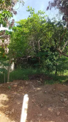 Oportunidade Vendo Lote R$ 45.000,00 Setor Universitário