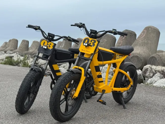 Bicicleta elétrica mangosteen FT03 motor 1000w super potente 50 km Autonomia <br>