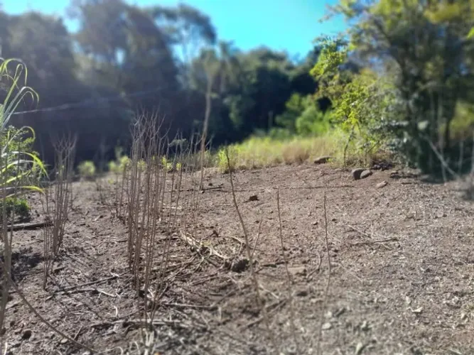 Vende-se Chacrinha com 6.000 m² - Próxima a Águas de Chapecó/SC