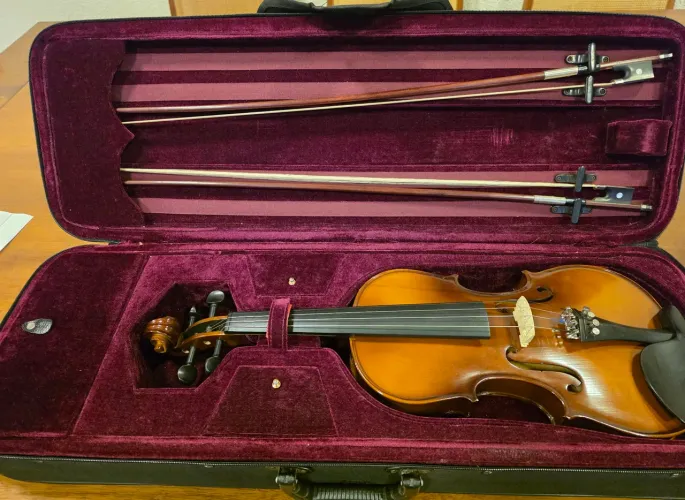 Violino Michael profissional