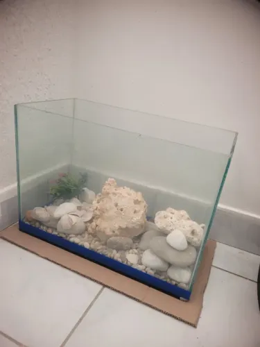 Aquario