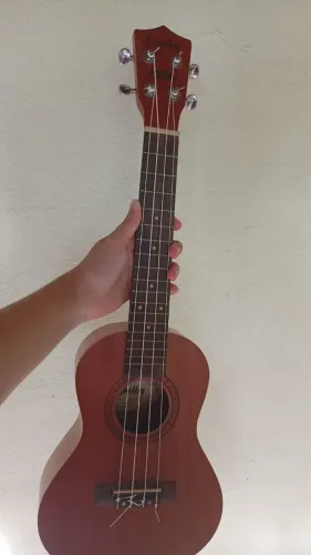 Ukulele Shelby Concert