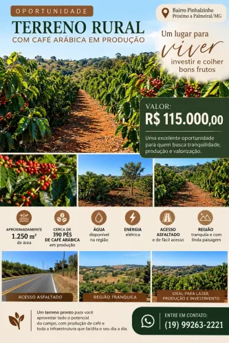 OPORTUNIDADE EM MINAS GERAIS TERRENO COM CAFÉ EM PRODUÇÃO!